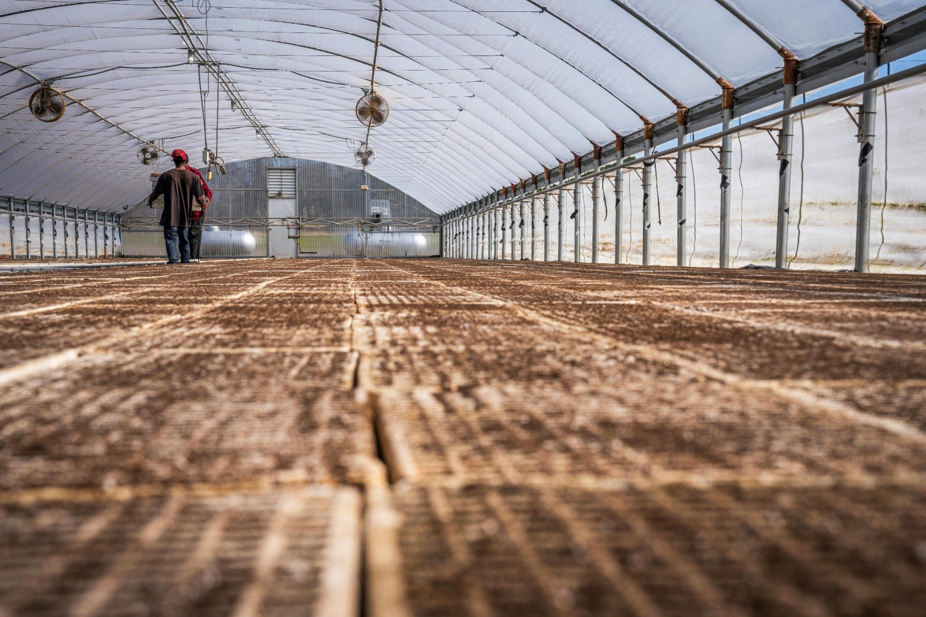 Grow Farms